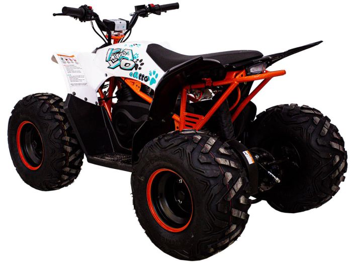 KAYO eA110 ATV (2024)