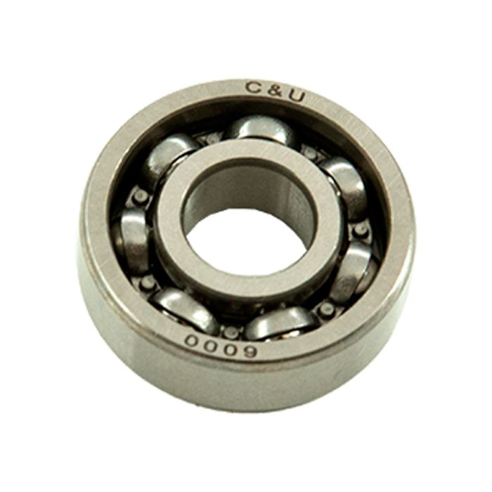 Bearing 6000/P5C3