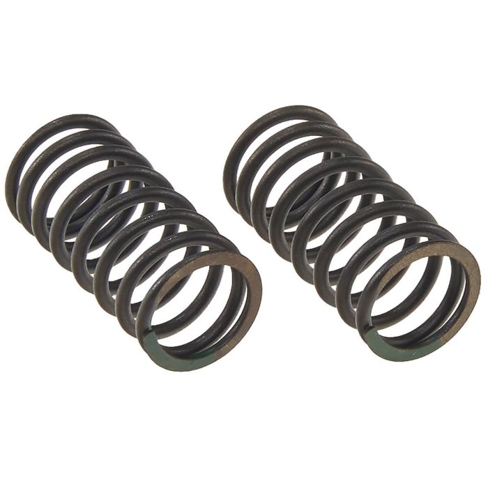 External valve spring (2 pcs.) HS152FMH motorcycle engine