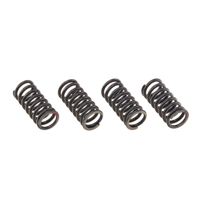 Internal valve spring (4 pcs. set) ZS194MQ (slant-head) GR7/8