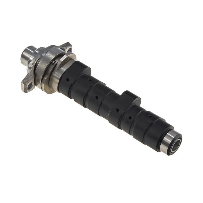 Camshaft ZT190YMR