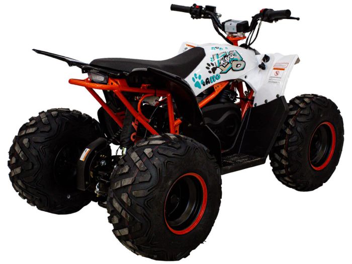 KAYO eA110 ATV (2024)