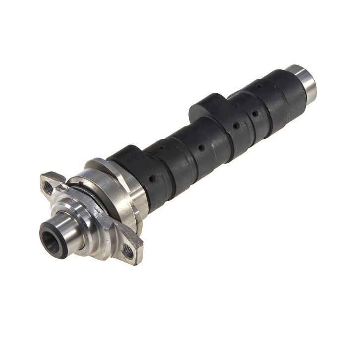 Camshaft ZT190YMR