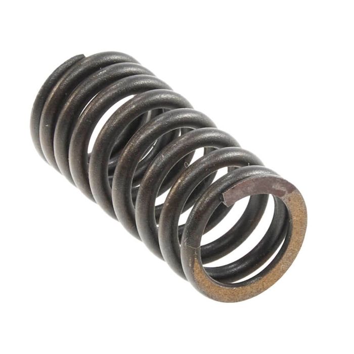 Internal valve spring move190YMR