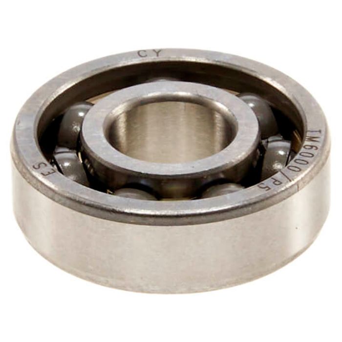 Bearing 6000 2RS (180100) 10x26x8