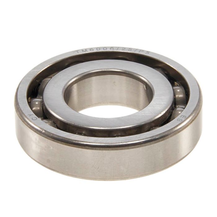 Bearing 6006/25