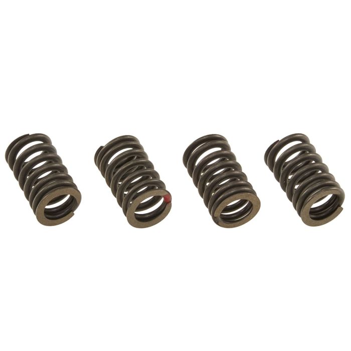 Valve spring ZT1P58MJ