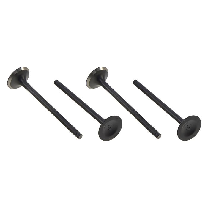 GR500 exhaust valve (kit)