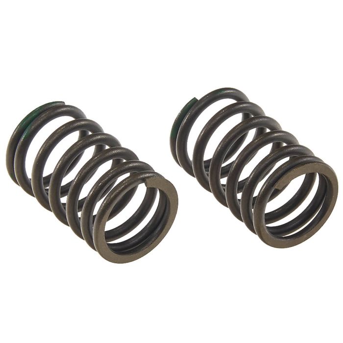 Internal valve spring (2pcs set) HS152FMH dvigod