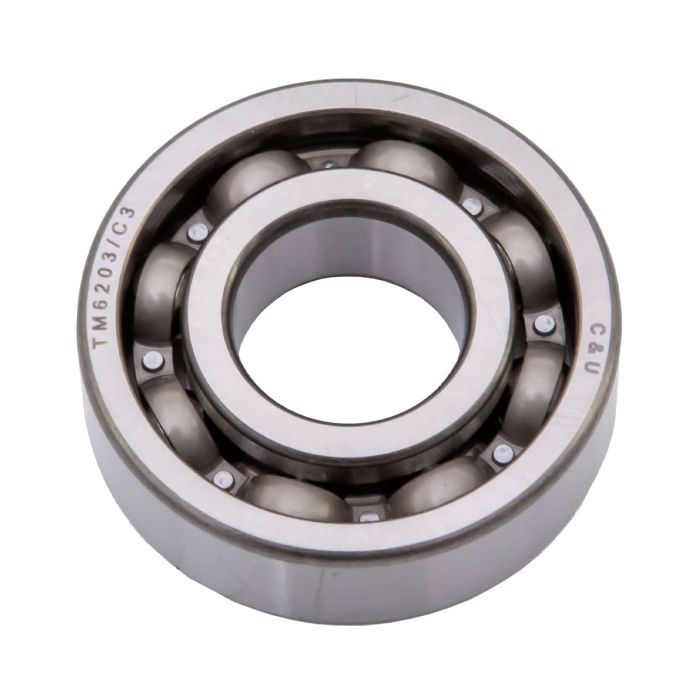 Bearing 6203/P6