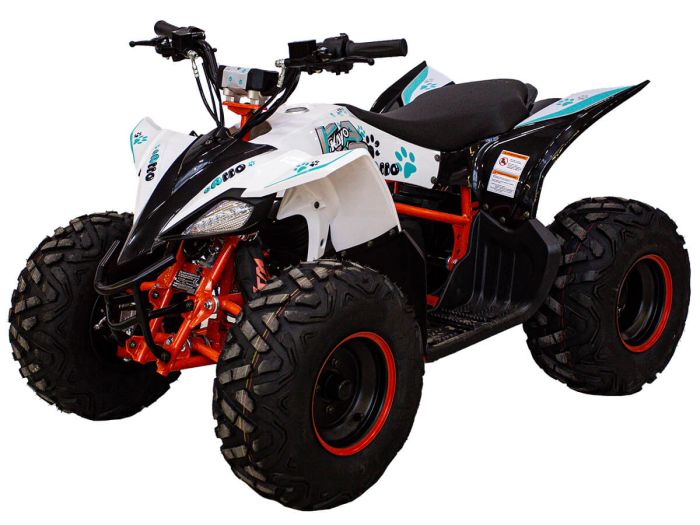 KAYO eA110 ATV (2024)