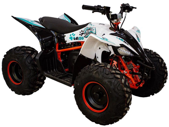 KAYO eA110 ATV (2024)